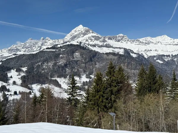 Terrain en individuel 656 m²