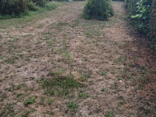 Terrain 300 m² Bois-Guillaume