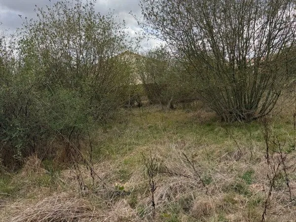 Terrain agricole