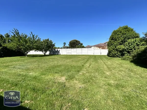 Terrain