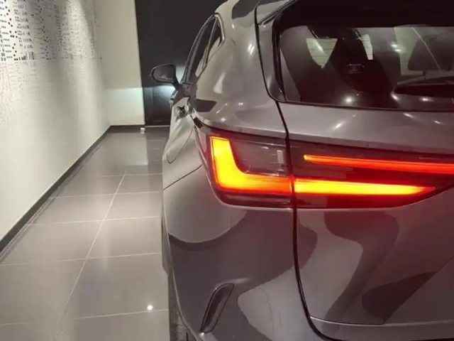 Lexus Nx 450h+ f sport executive 4wd my24 — photo 9