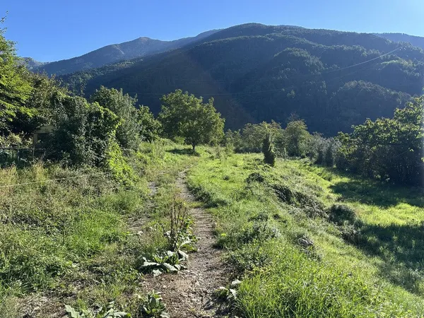 Beau terrain non constructible de 4138 m2