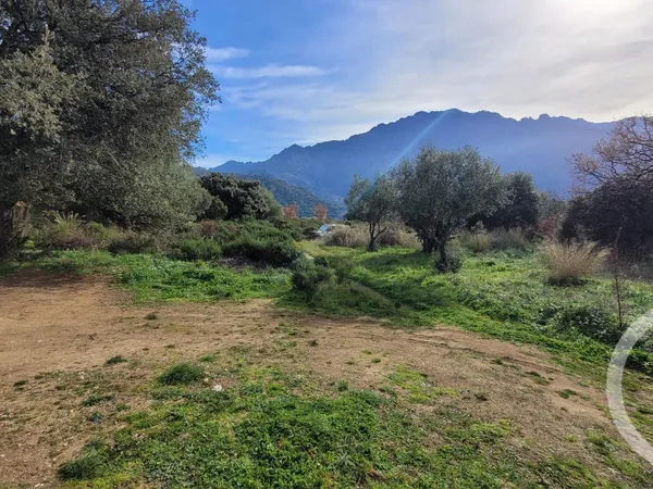 Terrain 4100 m²