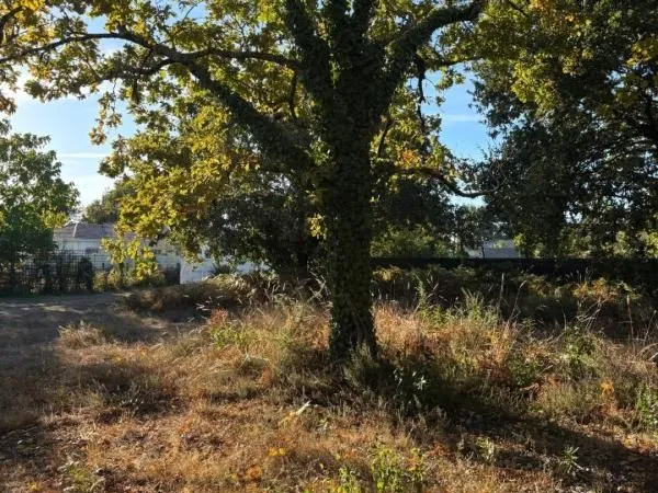 Terrain 395 m² Lanton