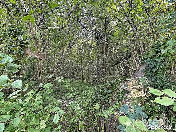 Terrain 1891 m² CHAMPCUEIL