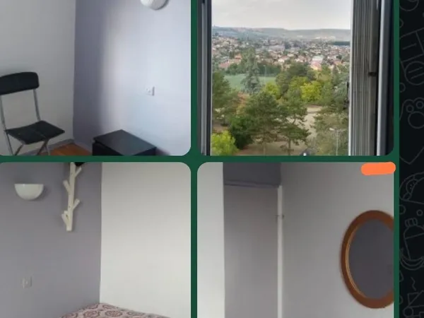 Colocation étudiante