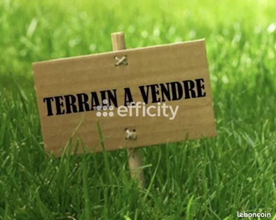 Terrain 445 m²