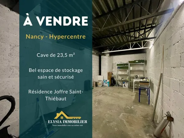 Cave 23,55 m2 NANCY 54000