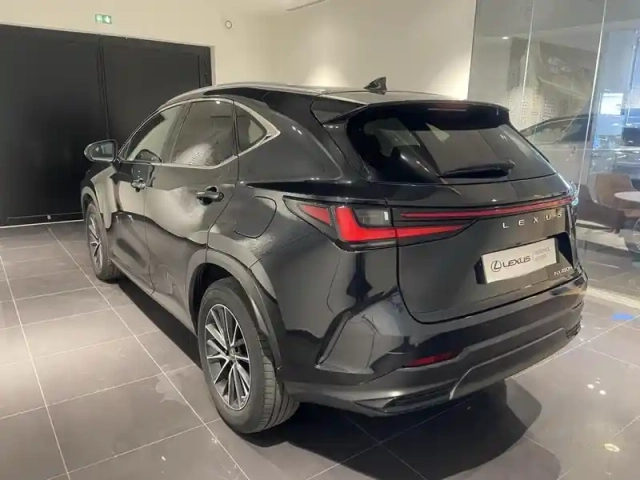 Lexus Nx 450h+ luxe 4wd — photo 9