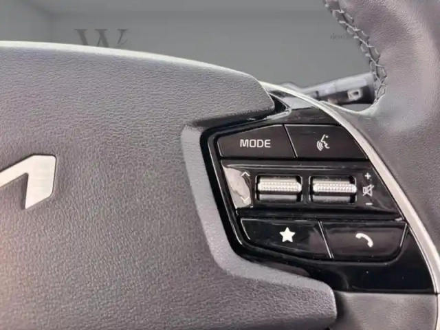 Kia Niro ev active — photo 14