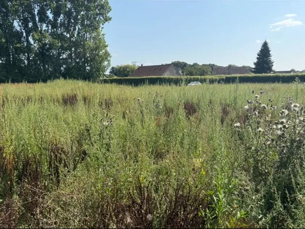 Terrain 459 m²