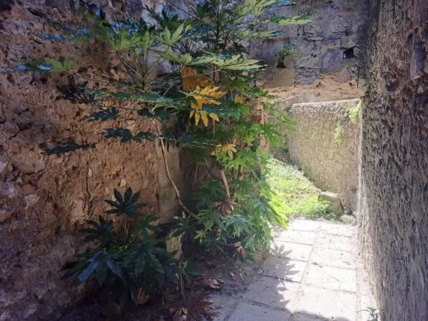 Ensemble immobilier