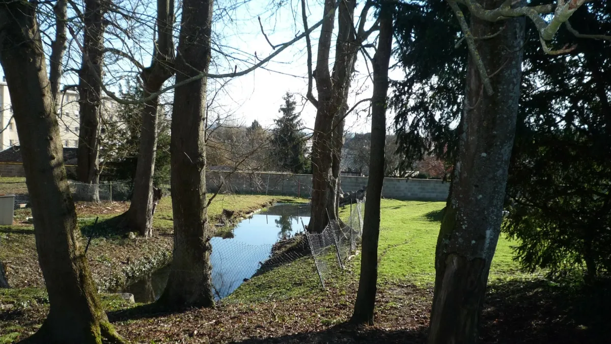 Photo 28