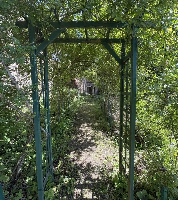 Photo 18