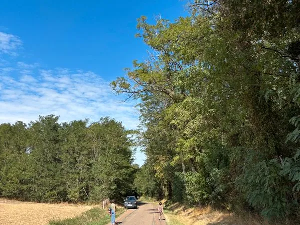Parcelles boisées 25 ares