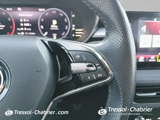 Skoda Fabia 1.5 tsi 150 ch dsg7 style — photo 19