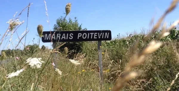 Terrain 1047 m²