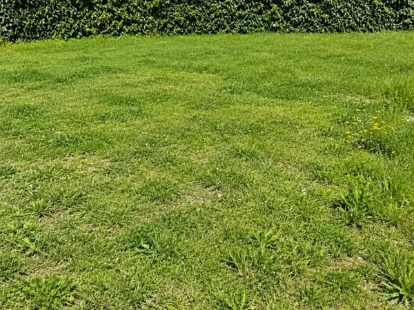Terrain 407 m²