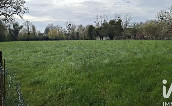 Terrain 6500 m²