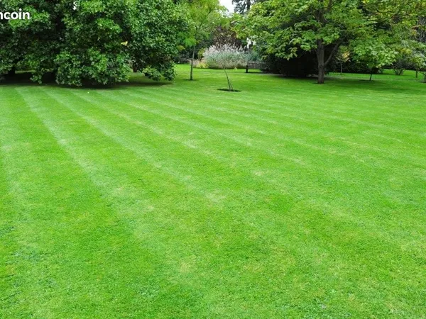 Terrain 743 m² Courceboeufs