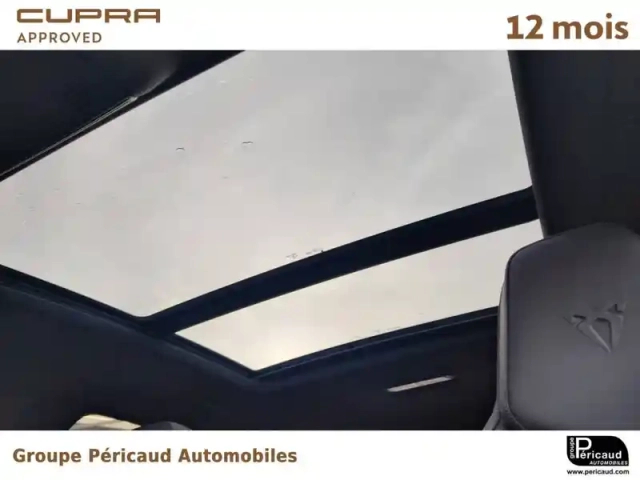 Cupra Terramar 1.5 ehybrid 272 ch dsg6 — photo 22