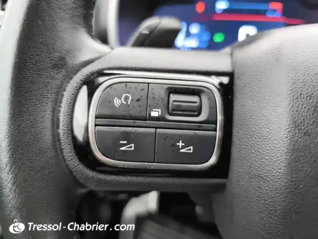 Citroën C5 Aircross bluehdi 130 s&amp;s eat8 shine — photo 19