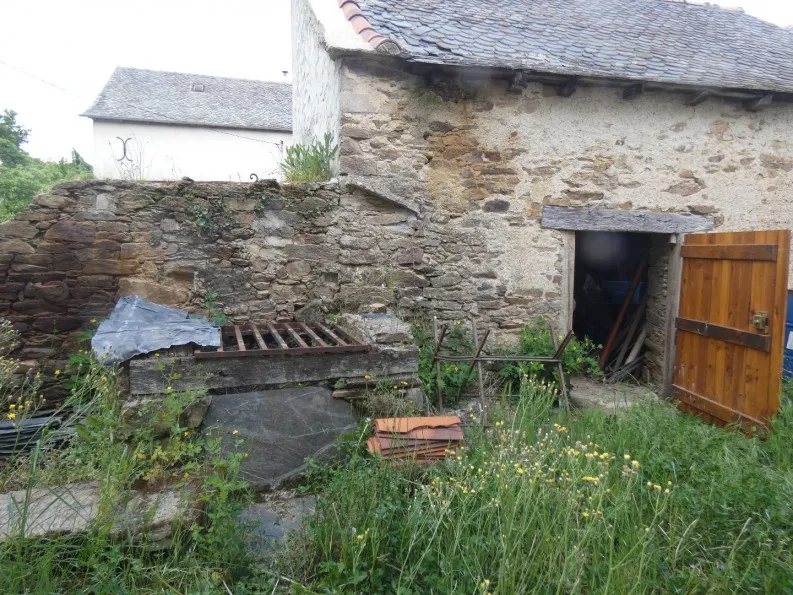 Photo 6