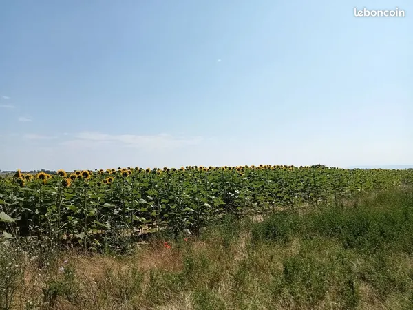 Terres agricoles