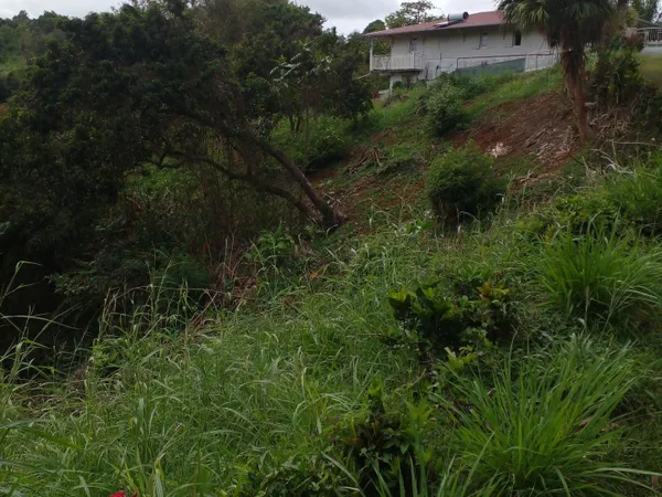 Urgent à vendre terrain de 1732 m² à St Esprit