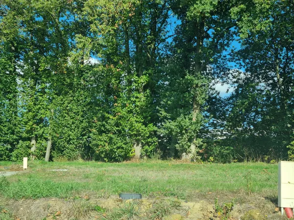 Terrain 469 m²