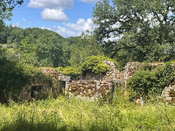 Bien agricole et foncier Vente Thémines   20000€