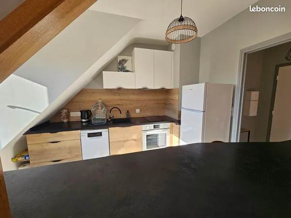 Appartement T2 rénové - 40 m² - Rodez (12000)
