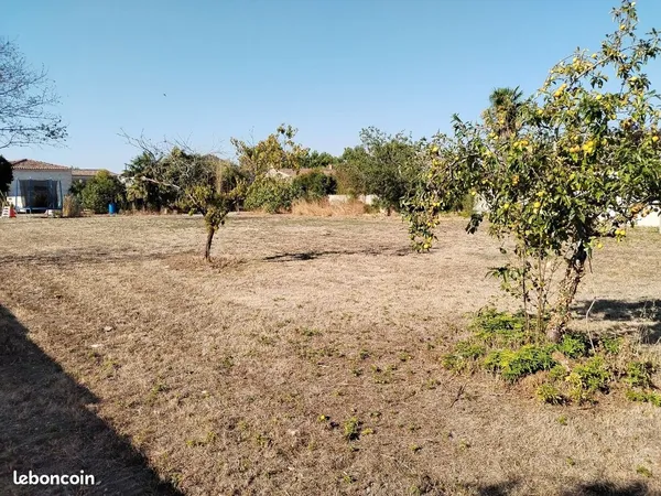 Terrain constructible