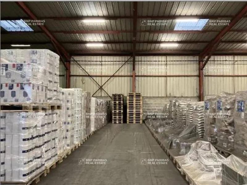 Photo 4