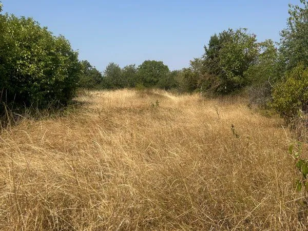 Terrain de loisirs