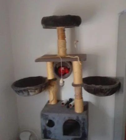 Appartement de 20m2 à louer sur Lens