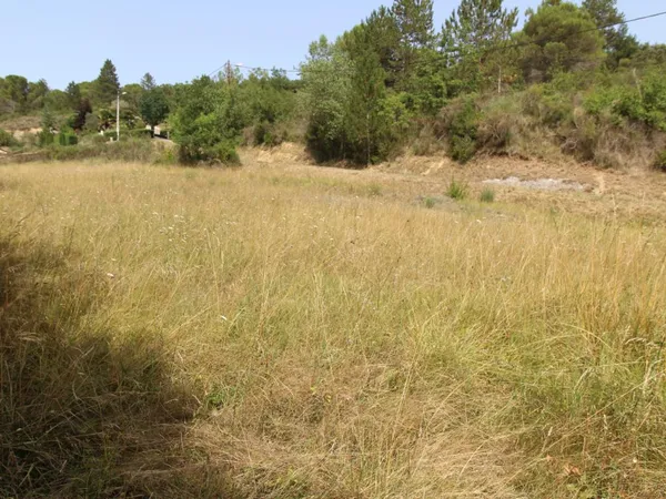 Terrain en individuel 2041 m²