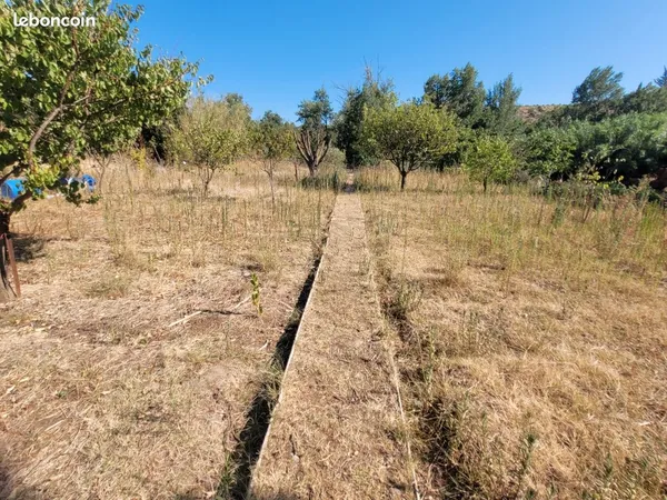 A vendre - terrain agricole à Paziols
