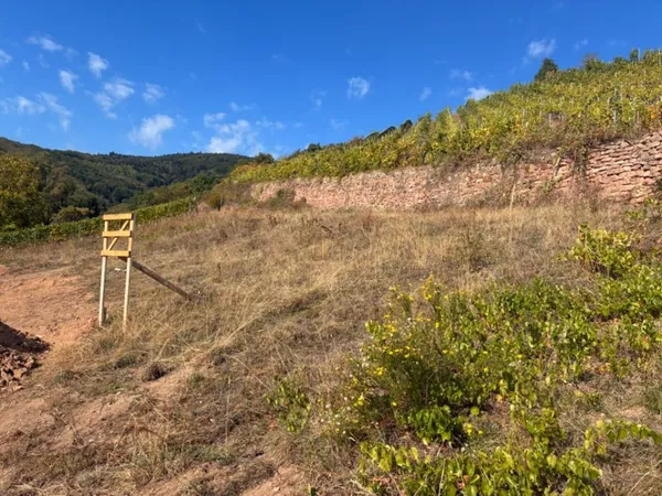 Terrain 887 m²