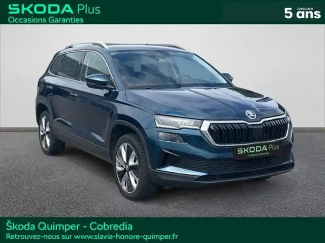Skoda Karoq 2.0 tdi 116ch scr style dsg7 — photo 3
