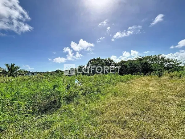 Terrain de 1088m2 situé à Anse Bertrand secteur Campèche
