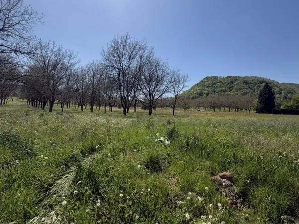 Terrain 542 m²