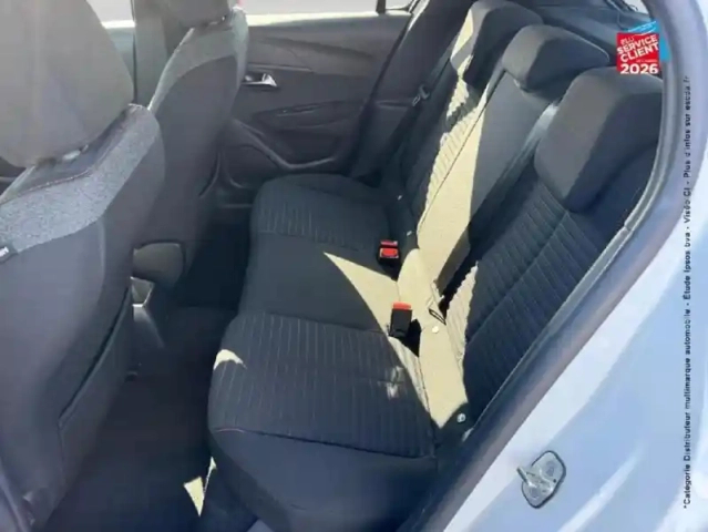 Peugeot 208 1.5 bluehdi 100ch s&amp;s active — photo 11