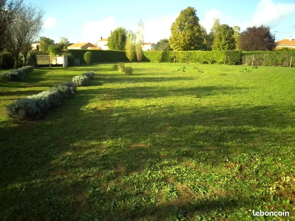 Terrain constructible