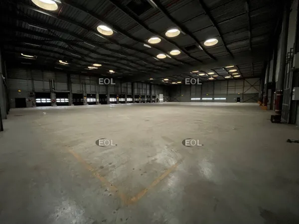 Entrepôt 6237 m²