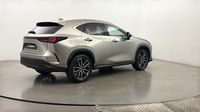 Lexus Nx 350h Executive 4WD MY24 — photo 5
