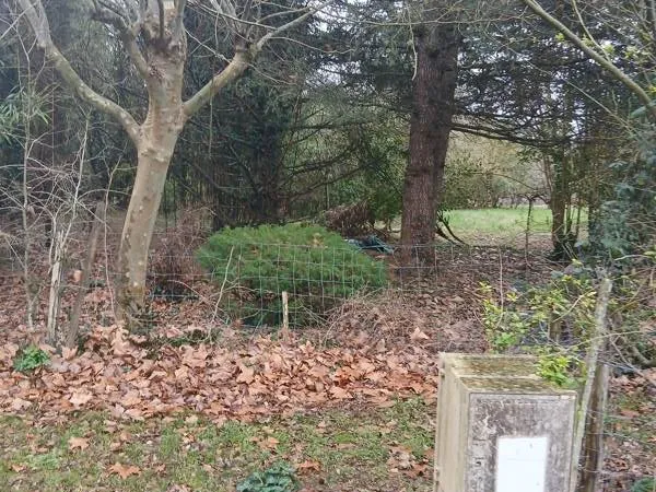 Terrain 3059 m²