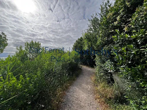 Terrain 1262 m²