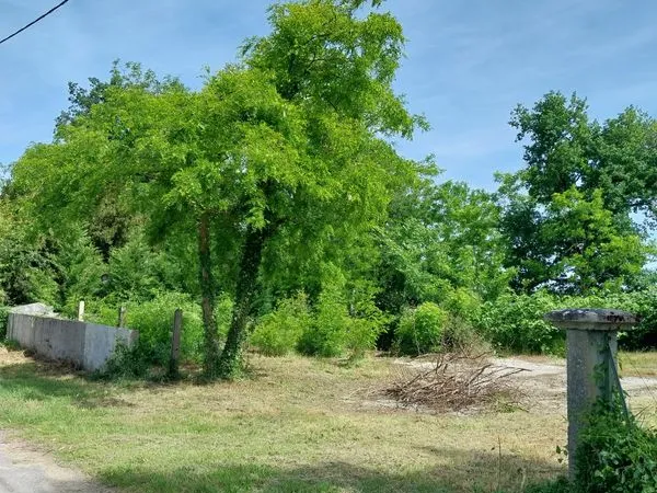 Terrain de loisirs
