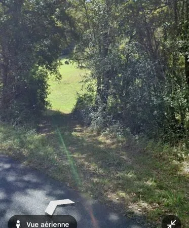 Terrain Agricole 1 Hectare